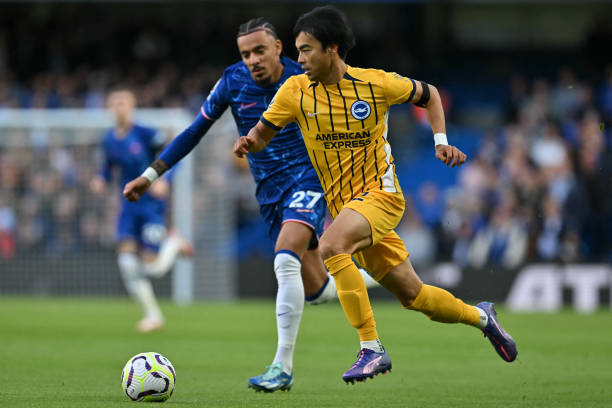 专家建议 专家建议